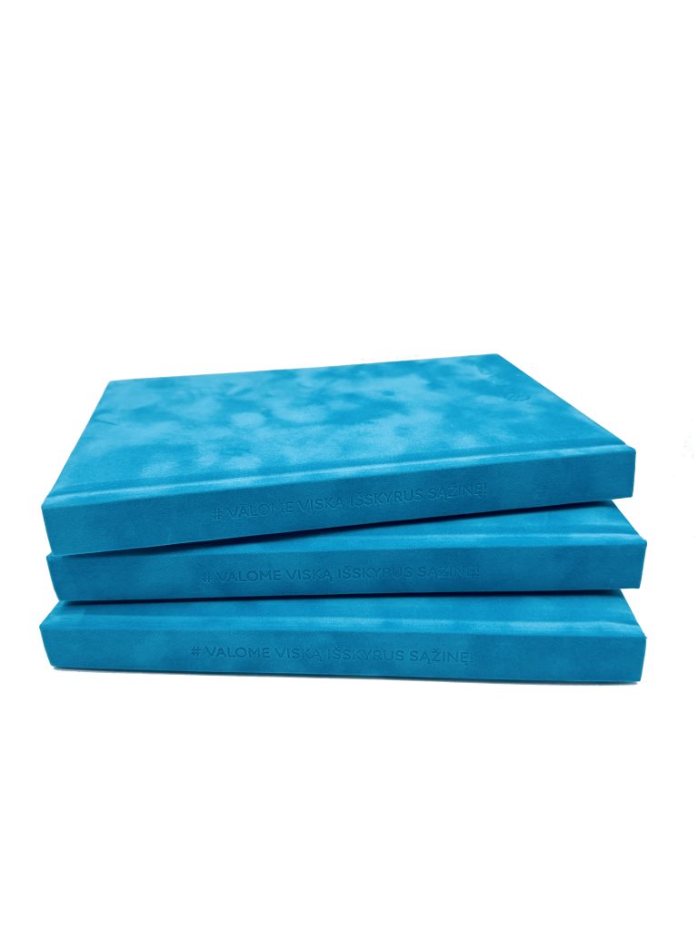 Verslo dovana_knyga su įspaudu_North Clarity